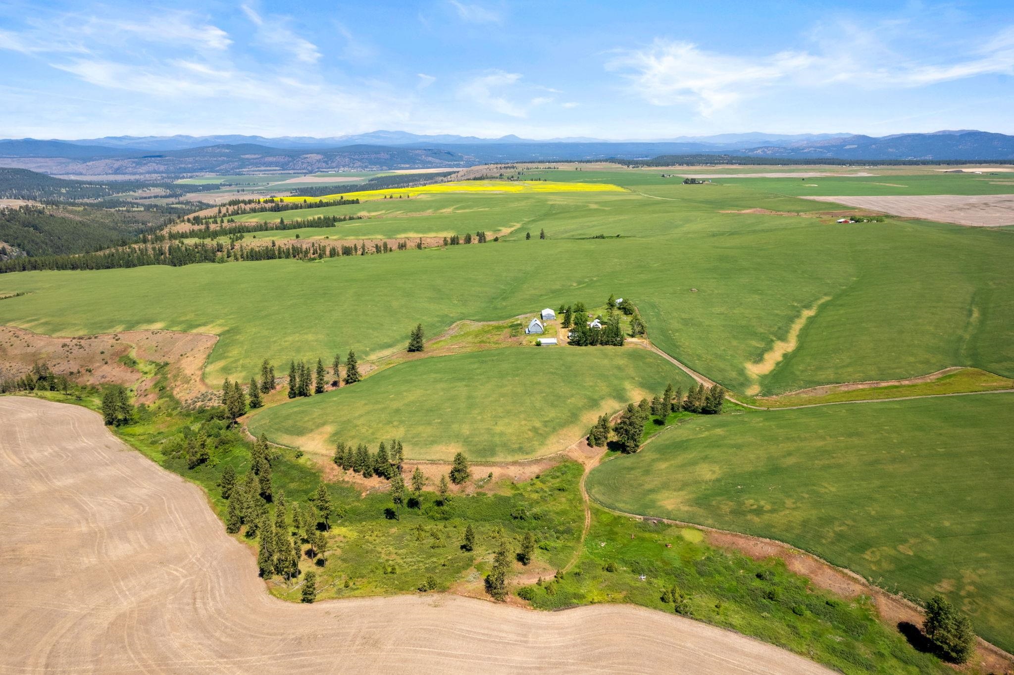 33599 Oehlschlaeger Road Reardan, WA 99029 - Photo 35 of 42 Gallery Image 35