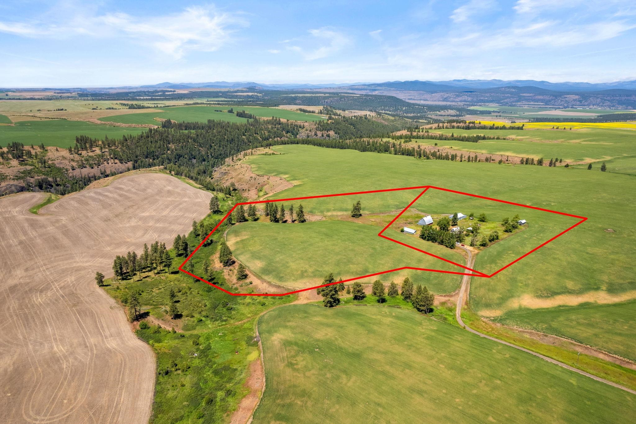 33599 Oehlschlaeger Road Reardan, WA 99029 - Photo 36 of 42 Gallery Image 36