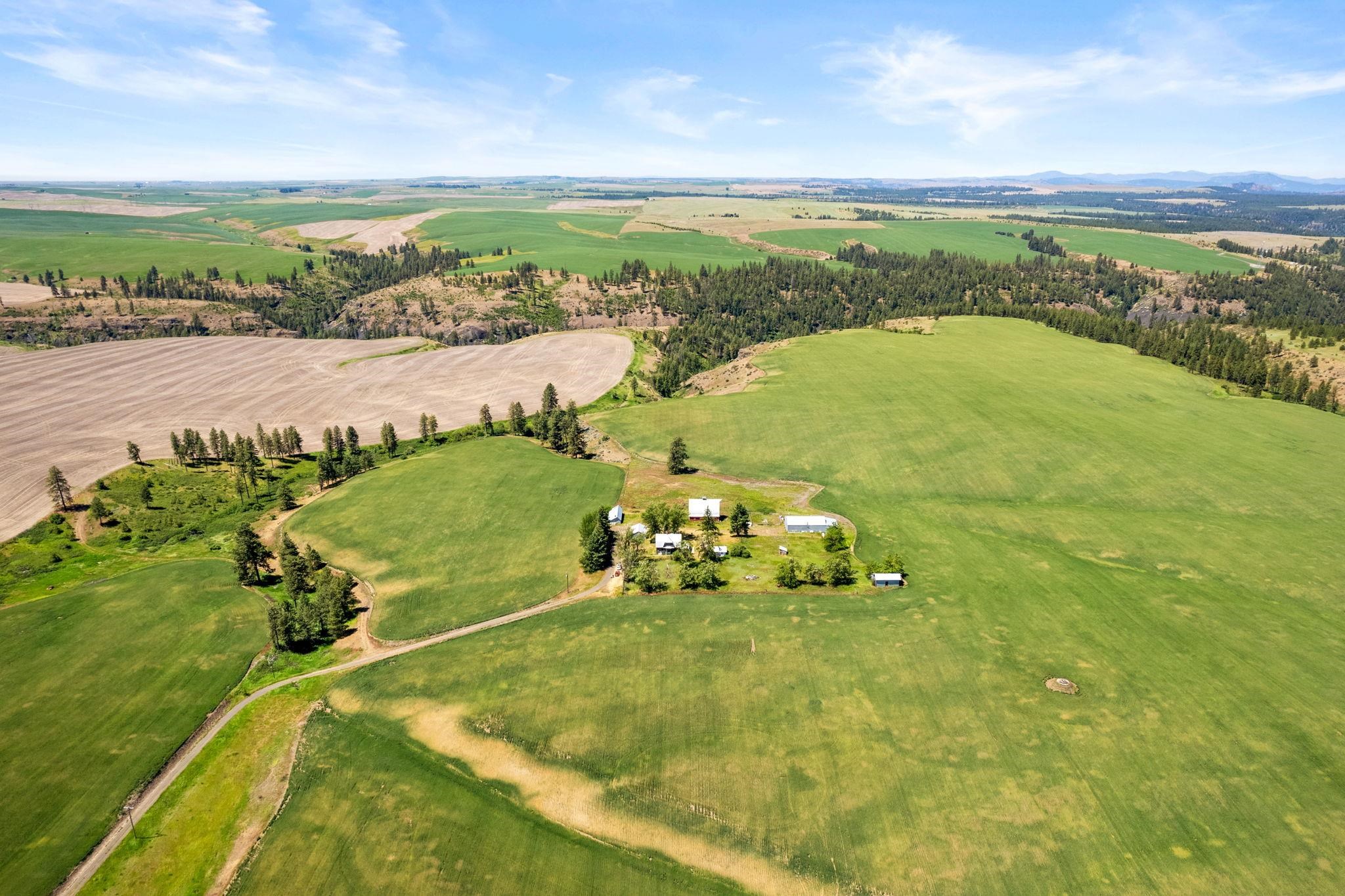 33599 Oehlschlaeger Road Reardan, WA 99029 - Photo 39 of 42 Gallery Image 39