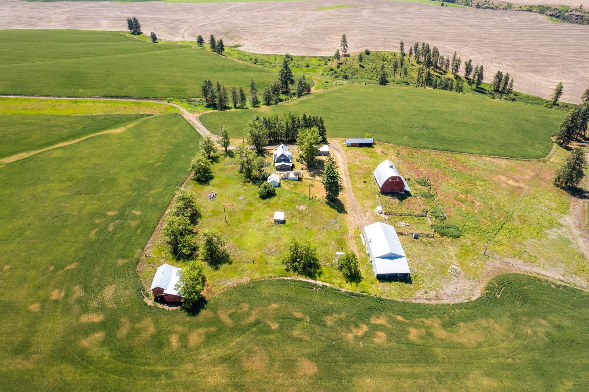 33599 Oehlschlaeger Road Reardan, WA 99029 - Photo 41 of 42 Gallery Image 41