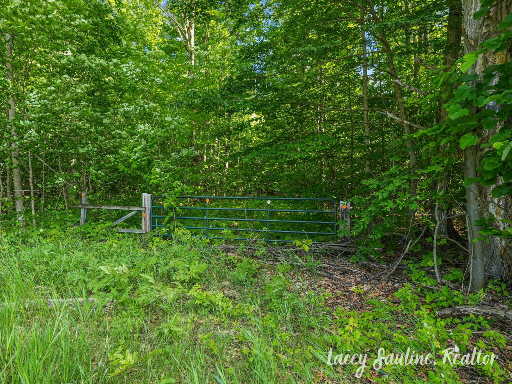 West Finkle Road Cadillac, MI 49601 - Photo 3 of 21 8