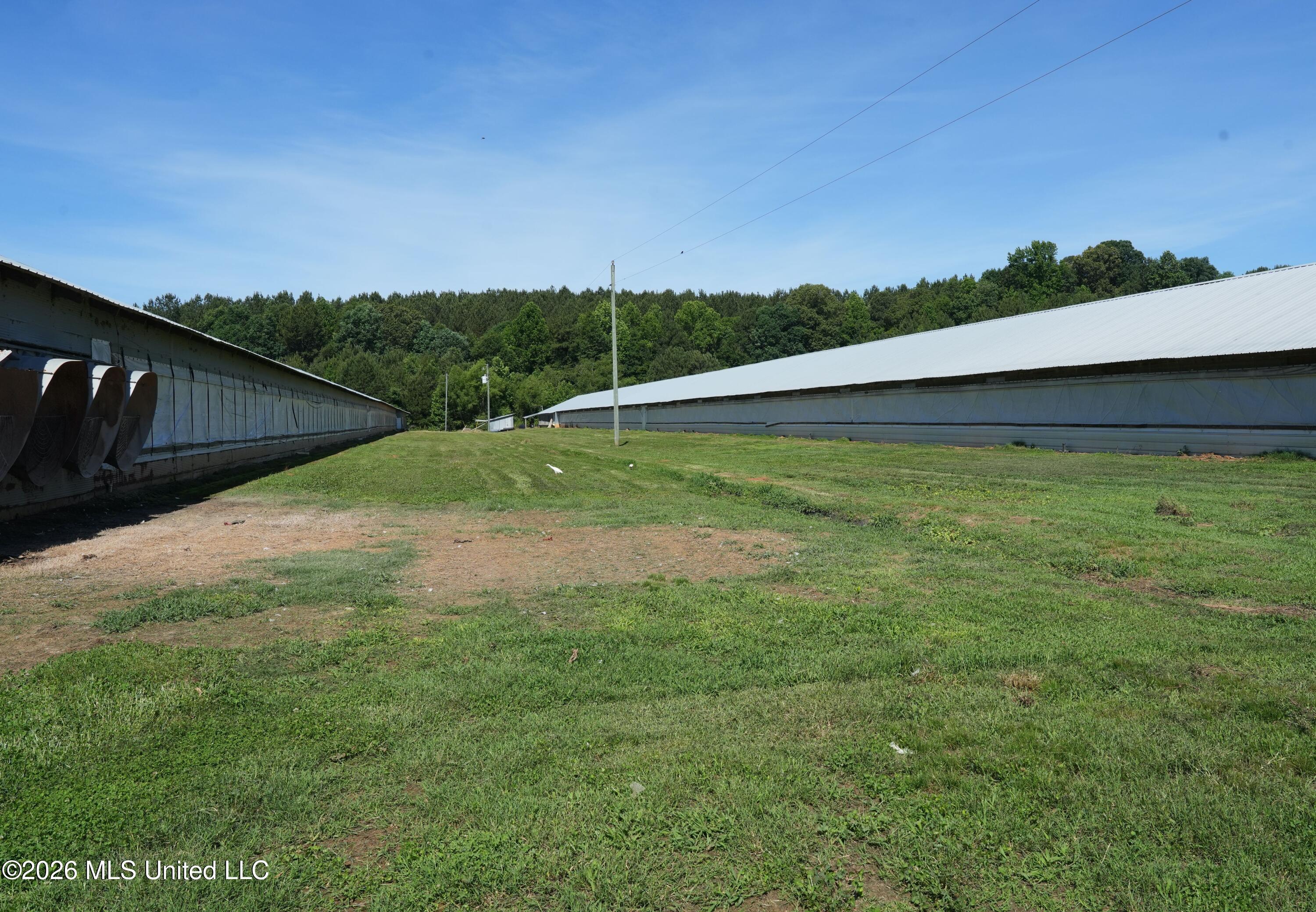 10671 Ms-427 Carthage, MS 39051 - Photo 21 of 44 DSC03124