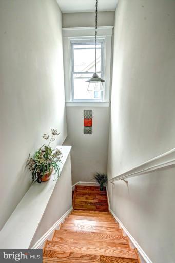 4004 Pinkney Road Baltimore, MD 21215 - Photo 15 of 30 Interior (General)