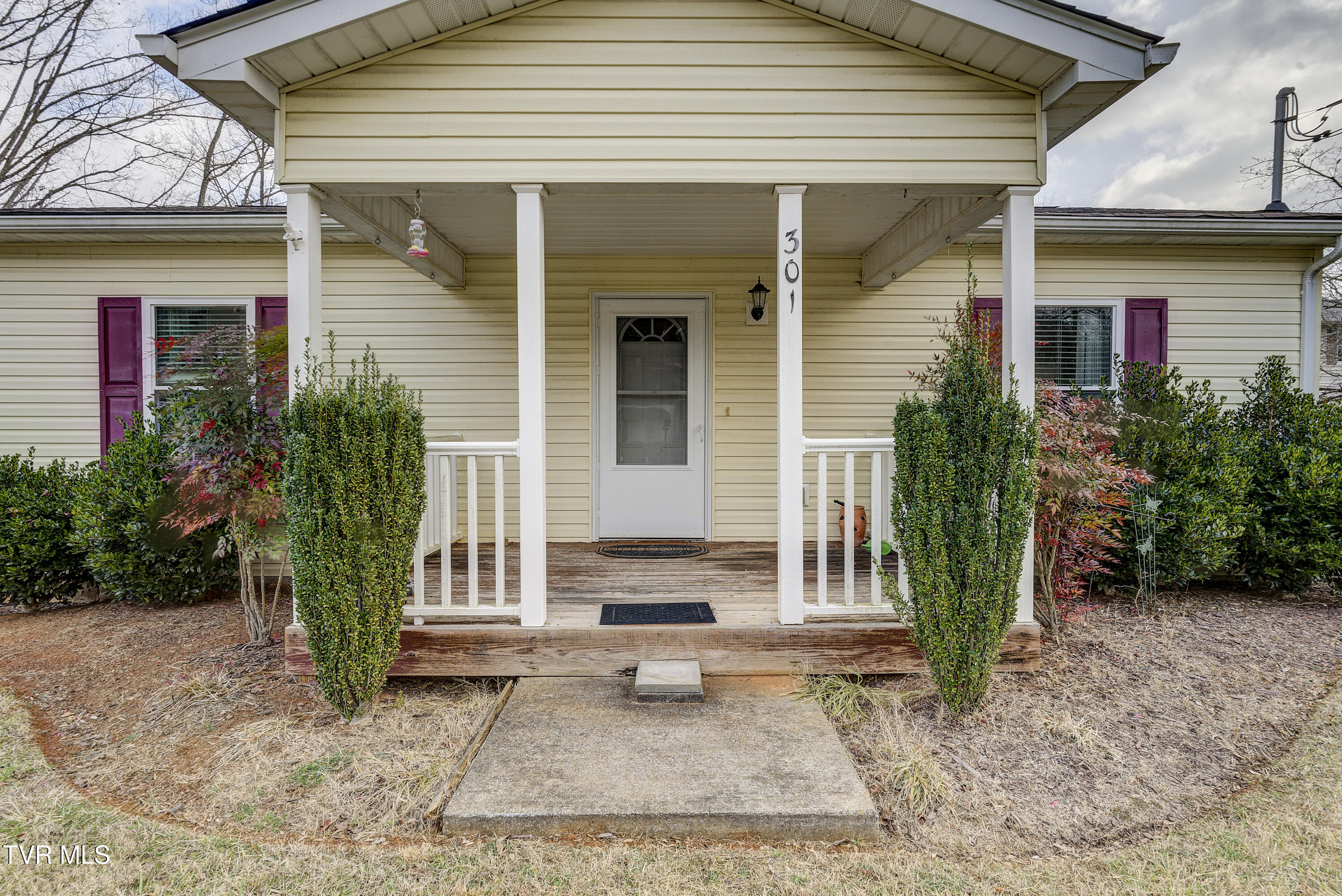 301 Carter Sells Road Johnson City, TN 37604 - Photo 35 of 38 CarterSells-28