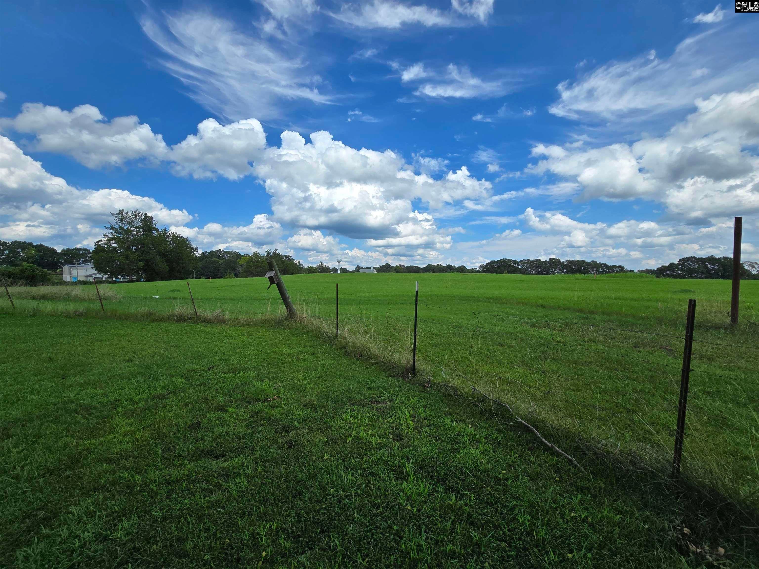 542 Pea Ridge Highway Jonesville, SC 29353 - Photo 12 of 15 Gallery Image 12
