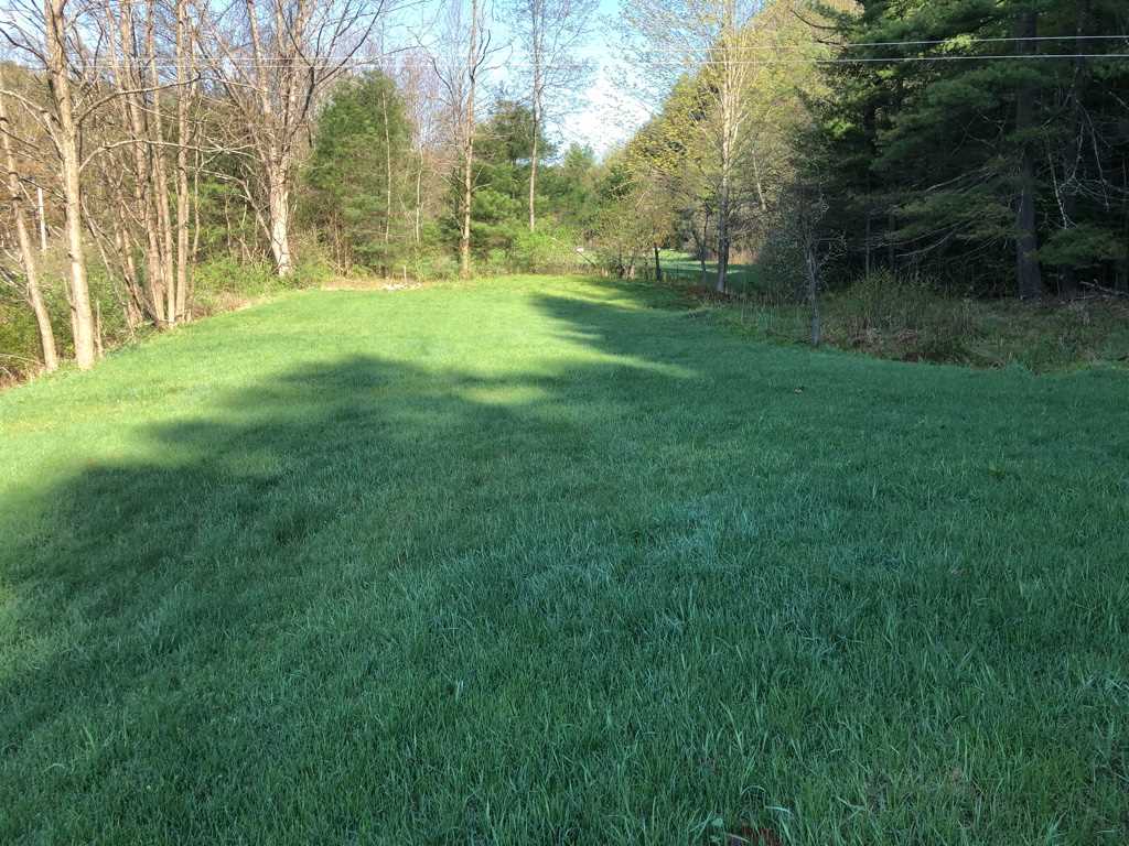 1052 Rice Farm Road Dummerston, VT 05301 - Photo 5 of 22