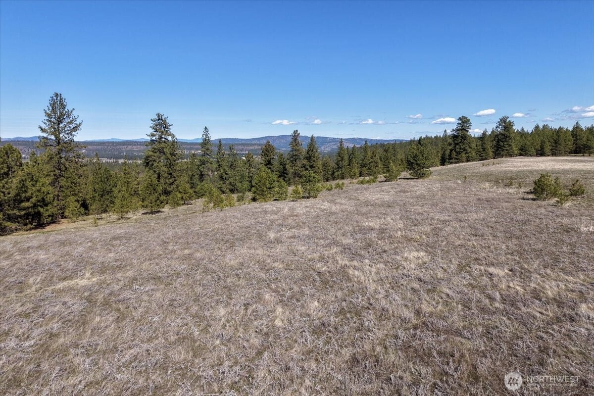 7410 South Hayford Road Spokane, WA 99224 - Photo 12 of 20