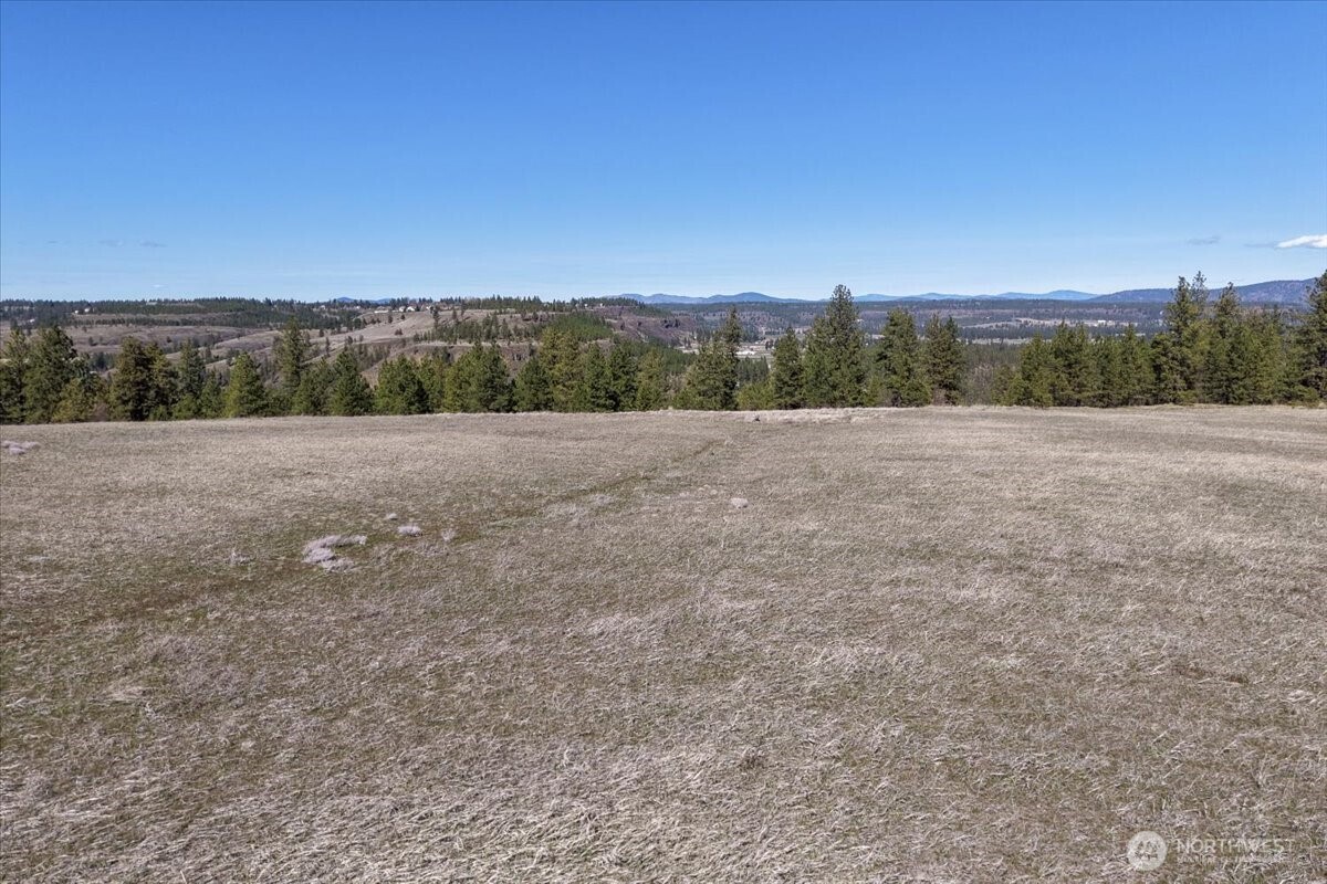 7410 South Hayford Road Spokane, WA 99224 - Photo 15 of 20
