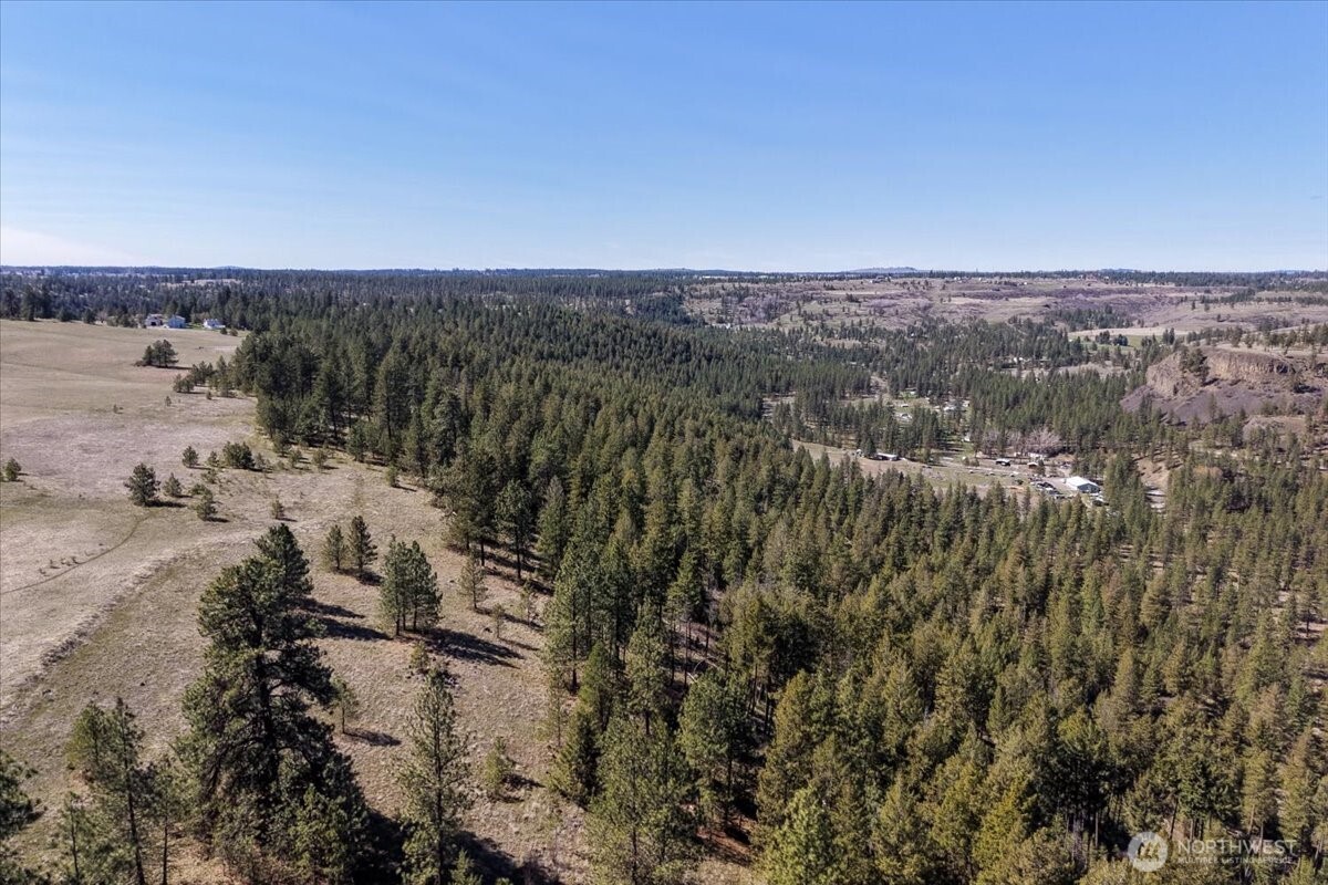 7410 South Hayford Road Spokane, WA 99224 - Photo 7 of 20
