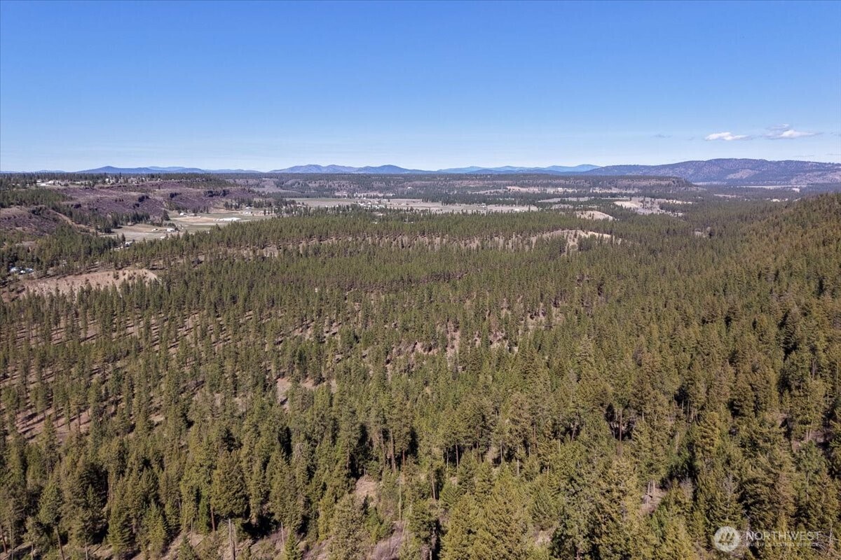 7410 South Hayford Road Spokane, WA 99224 - Photo 10 of 20