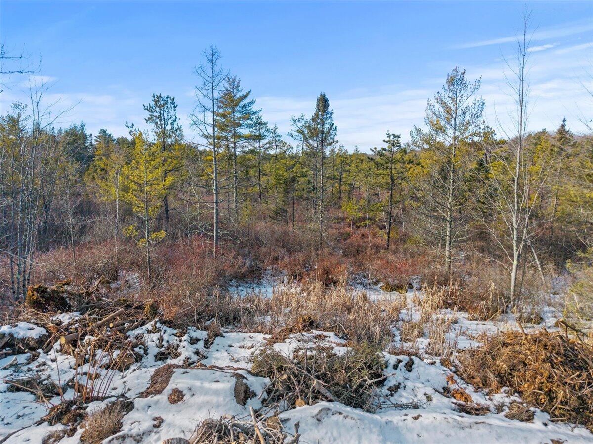 Lot#0 Alewive Road Lyman, ME 04002 - Photo 3 of 6 3