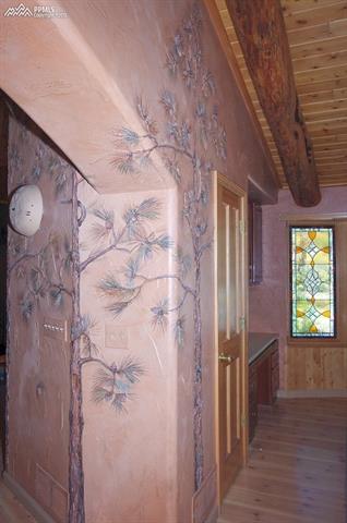 4810 Pyramid Mountain Road Cascade, CO 80809 - Photo 8 of 36