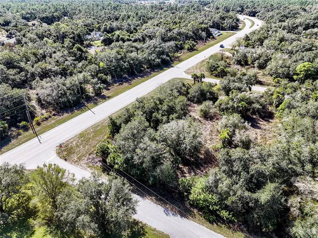 a view of a forest with a yard