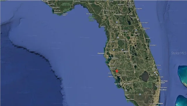 a close up of a plant