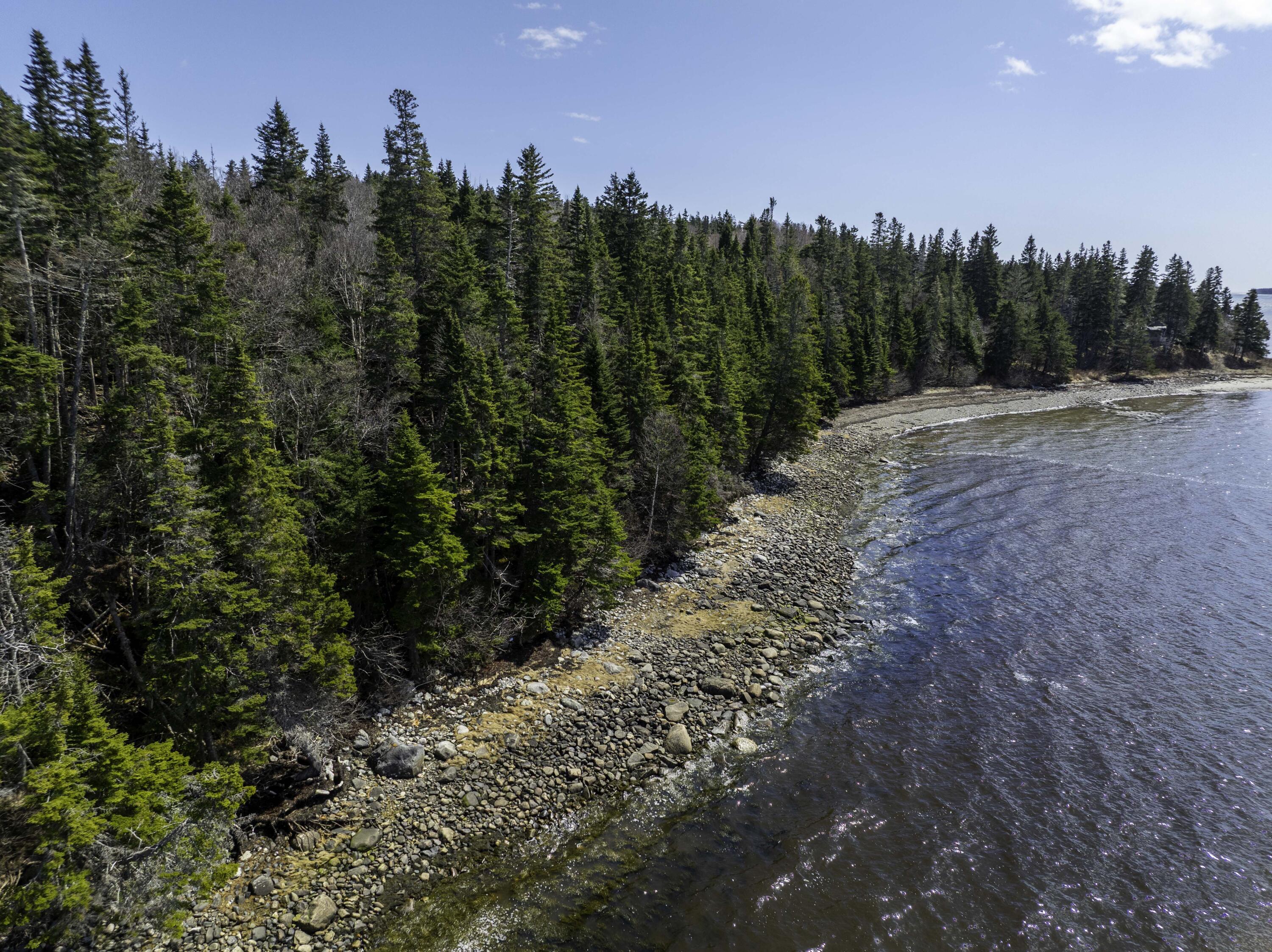 99 Little Machias Road Cutler, ME 04626 - Photo 39 of 48 180'owned waterfront