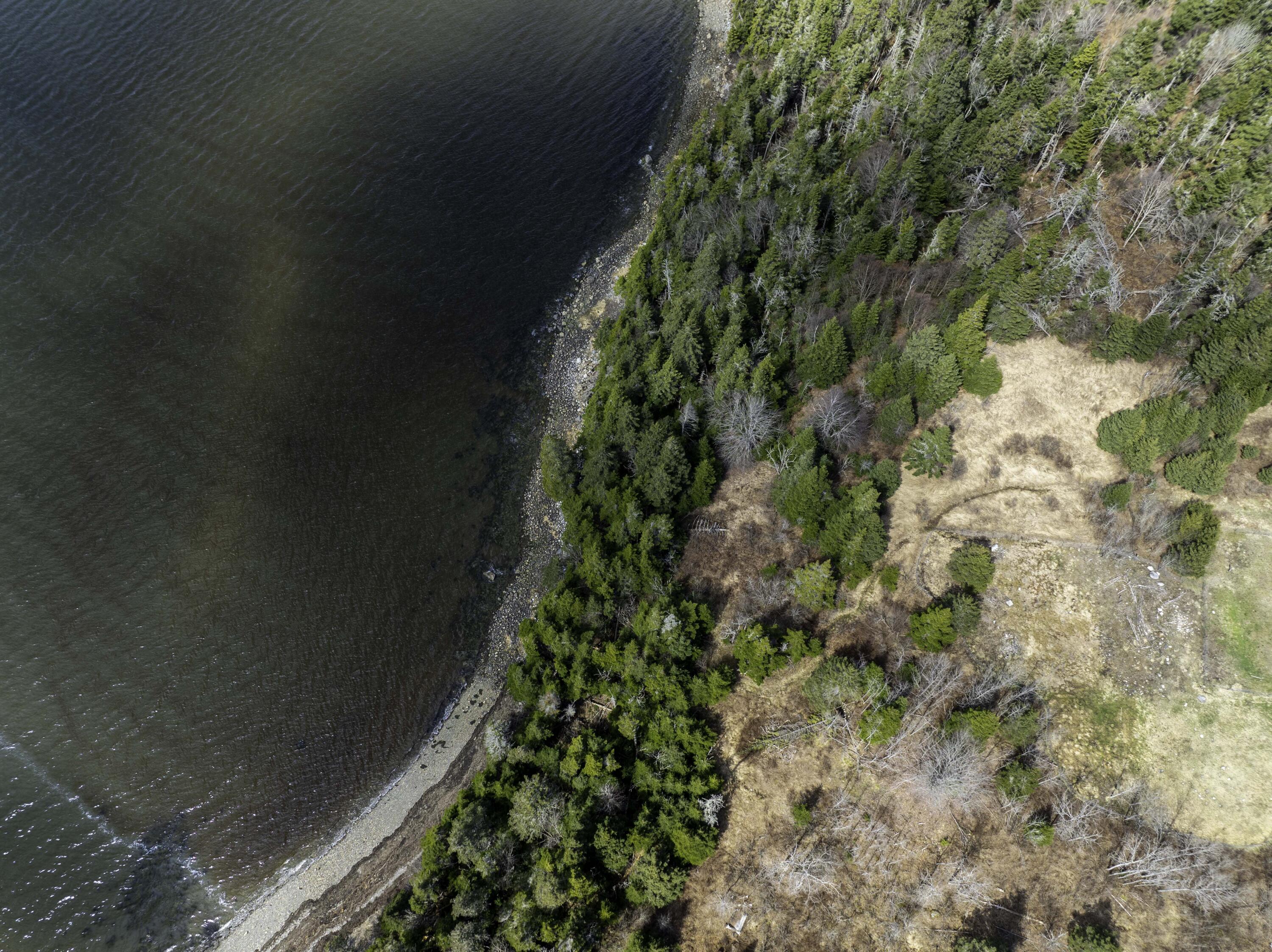 99 Little Machias Road Cutler, ME 04626 - Photo 41 of 48 The bold coast