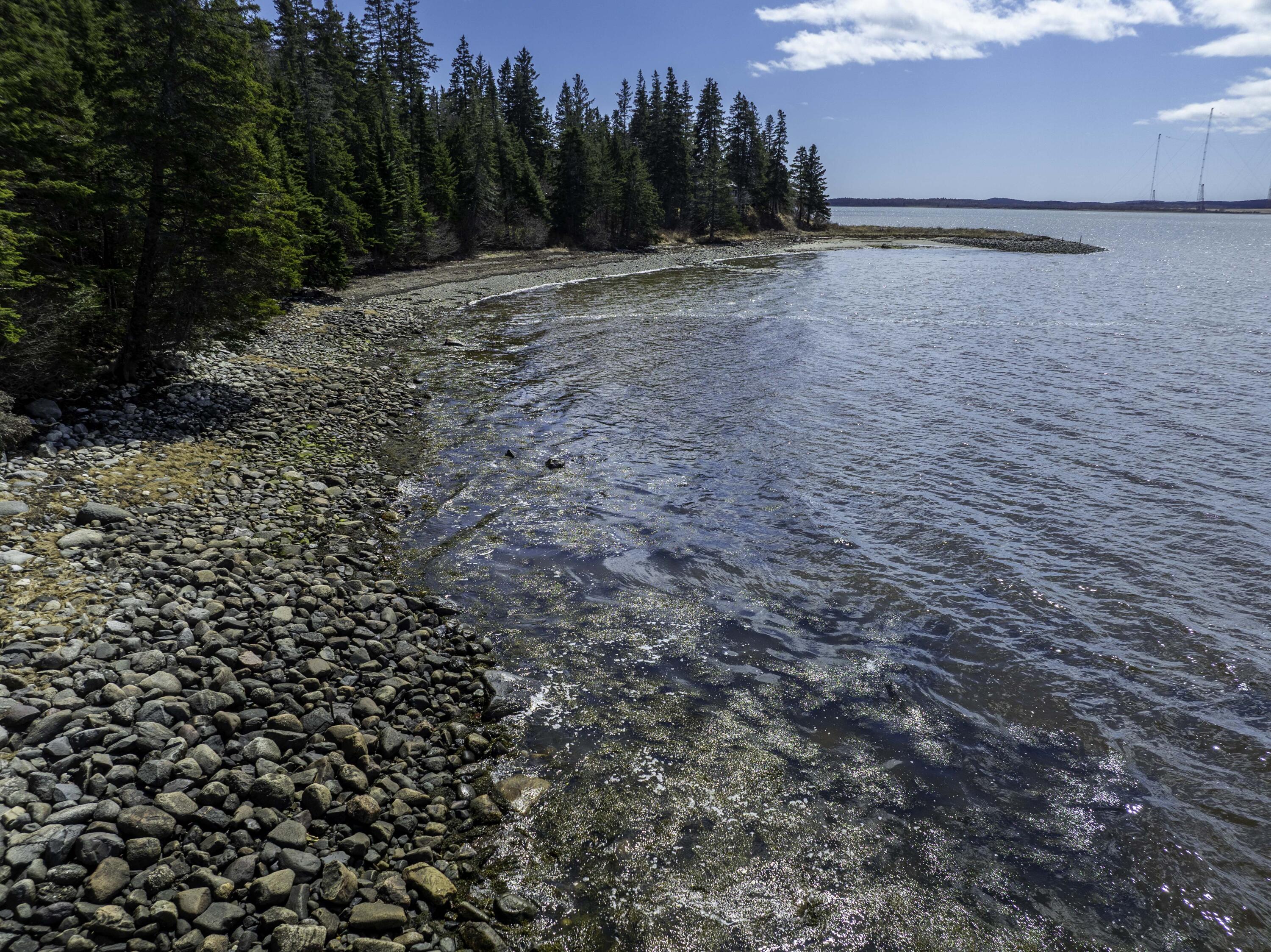 99 Little Machias Road Cutler, ME 04626 - Photo 47 of 48 go clamming at low tide