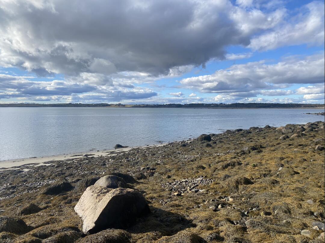99 Little Machias Road Cutler, ME 04626 - Photo 48 of 48 180' of waterfront on Little Machias Bay