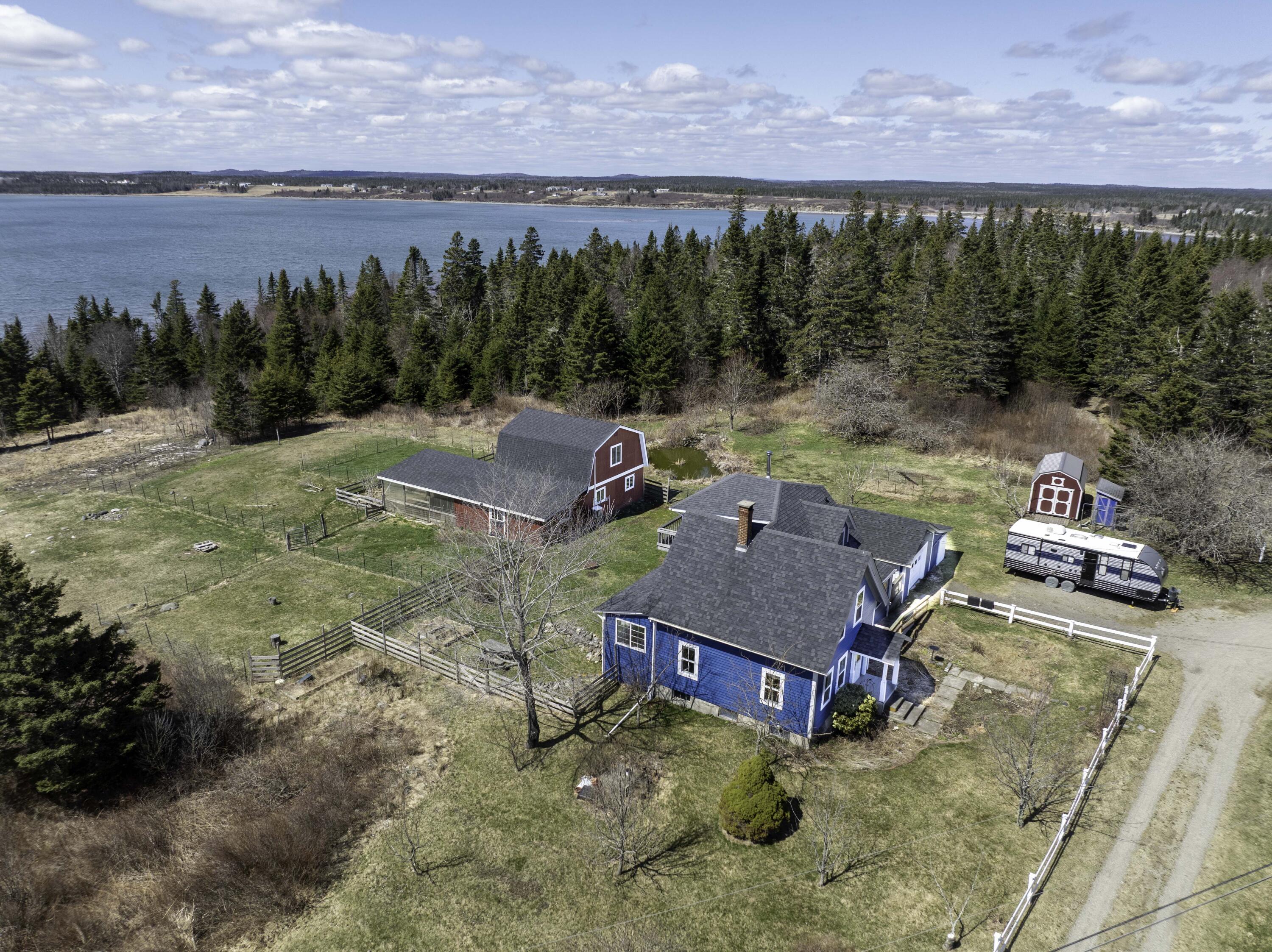 99 Little Machias Road Cutler, ME 04626 - Photo 6 of 48 Bring your goats, sheep and chickens