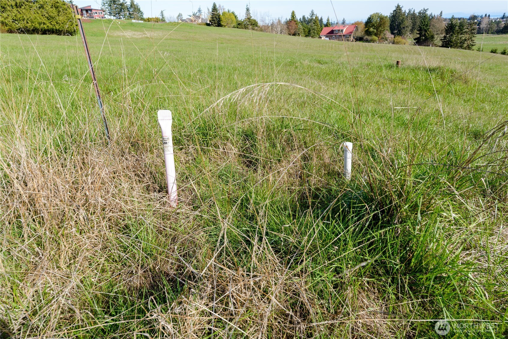 9999 Clearview Lane Sequim, WA 98382 - Photo 14 of 18