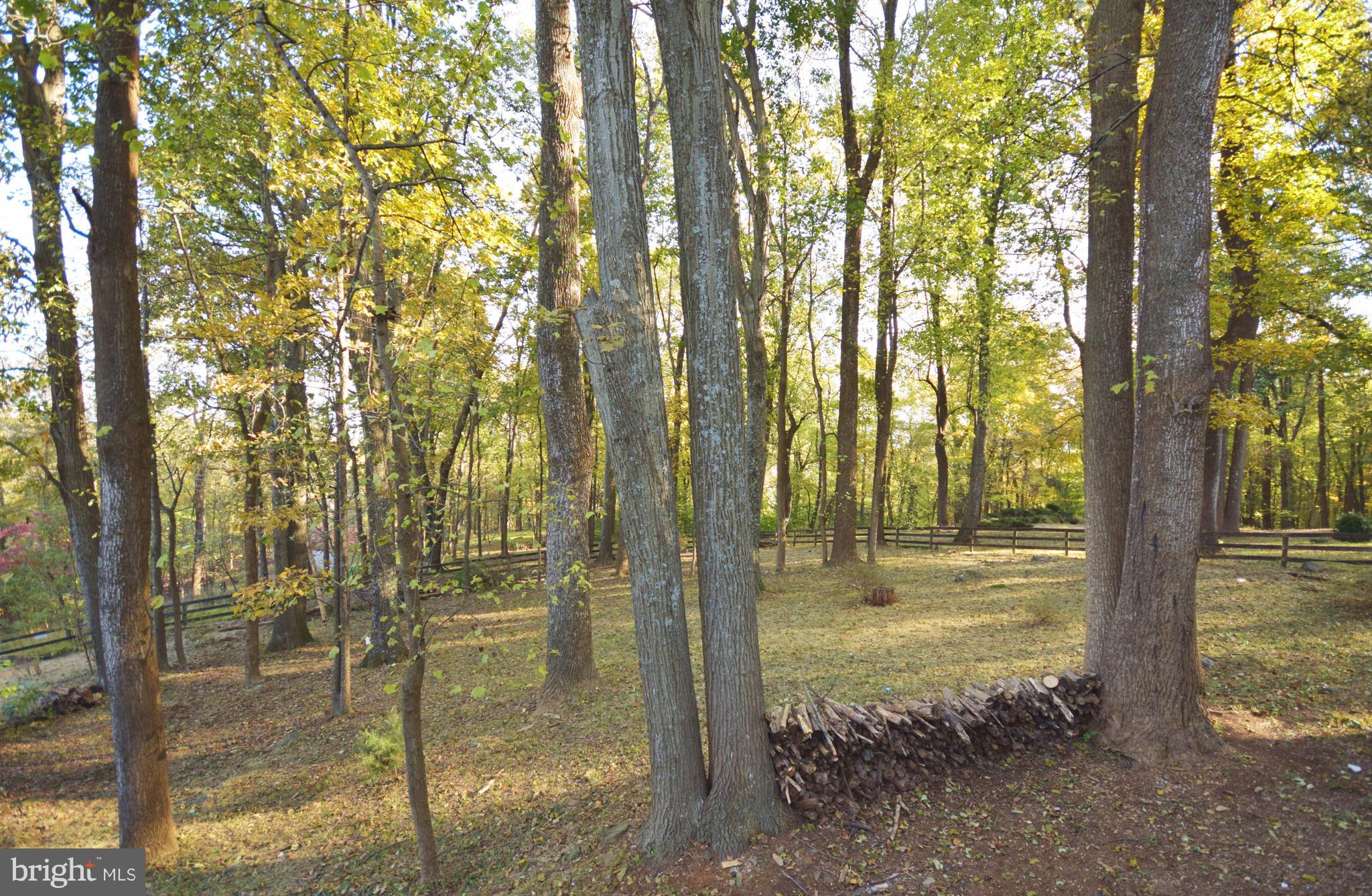 31 Pocahontas Road Front Royal, VA 22630 - Photo 25 of 29 View