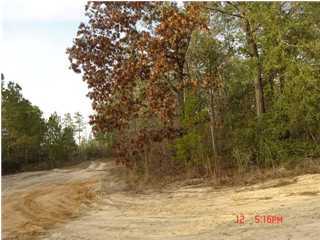 7-ac High Ridge Road Crestview, FL 32539 - Photo 1 of 6
