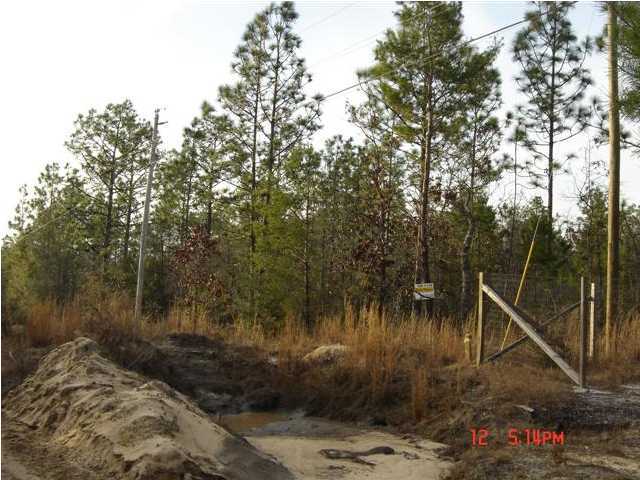 7-ac High Ridge Road Crestview, FL 32539 - Photo 4 of 6