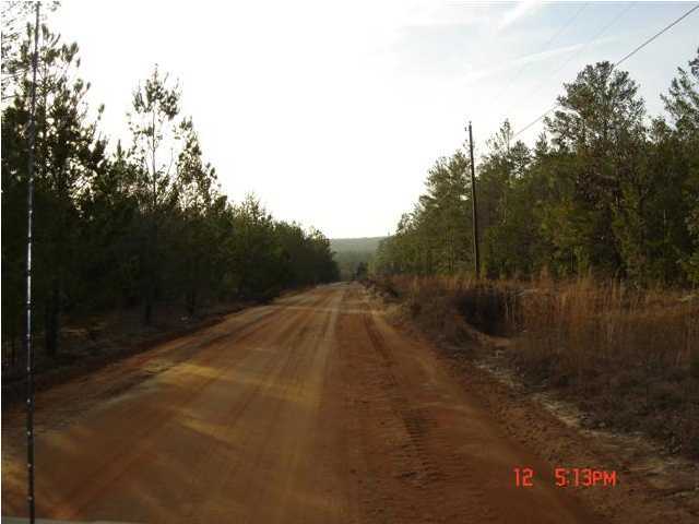 7-ac High Ridge Road Crestview, FL 32539 - Photo 5 of 6