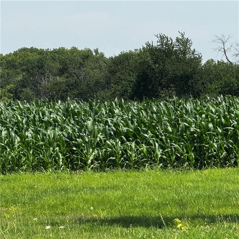 2171 Eisenhower Road Ottawa, KS 66067 - Photo 9 of 10