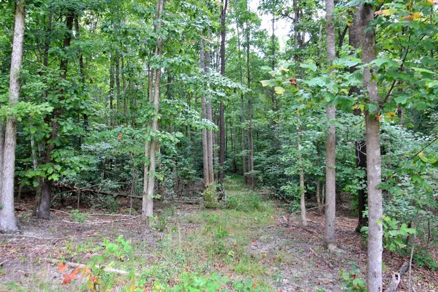 $449,900 | 370 Campbell Mdws Terrace, New Canton, VA 23123