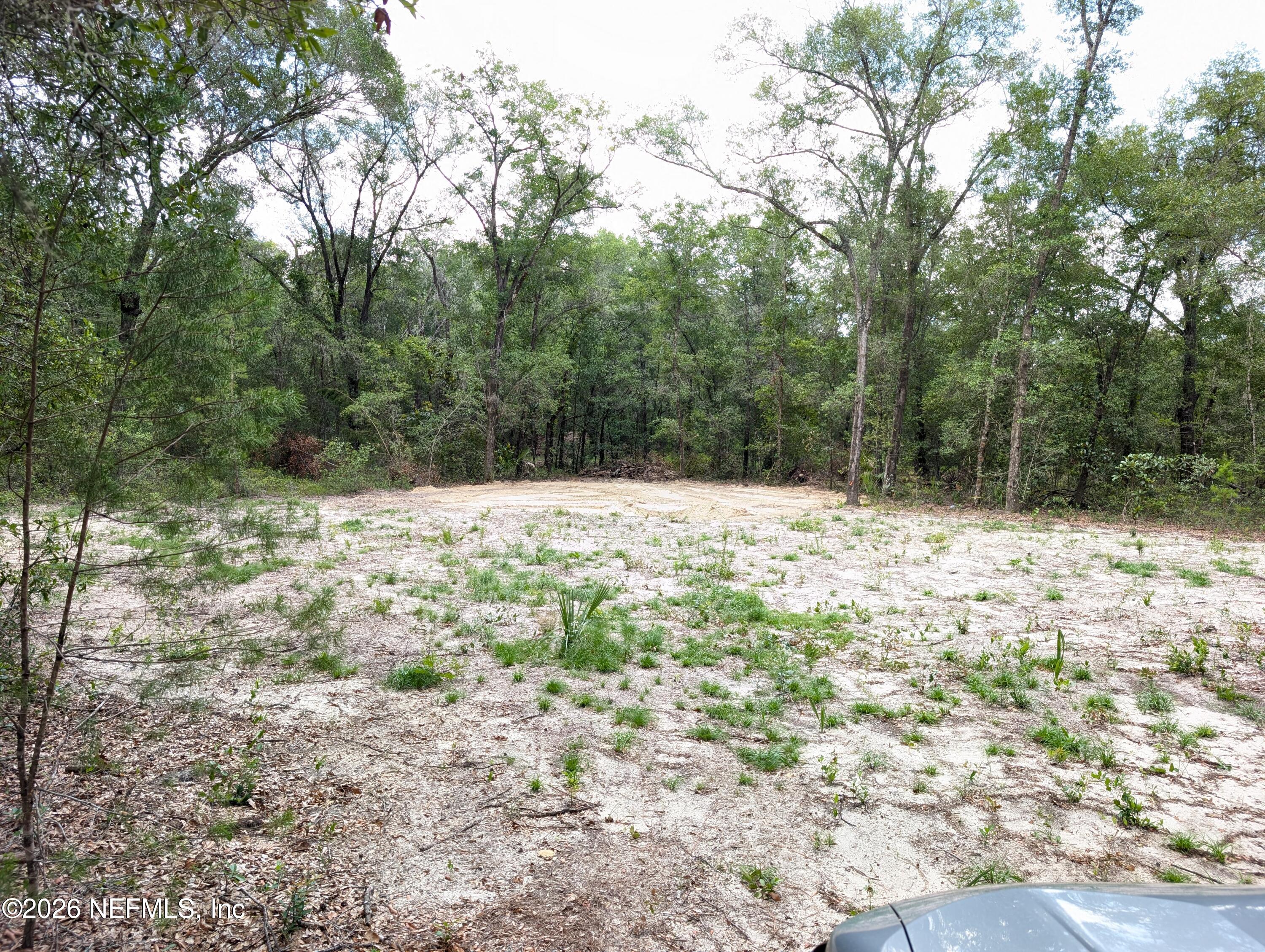 238 Keuka Road Interlachen, FL 32148 - Photo 11 of 11 238 KEUKA RD 01