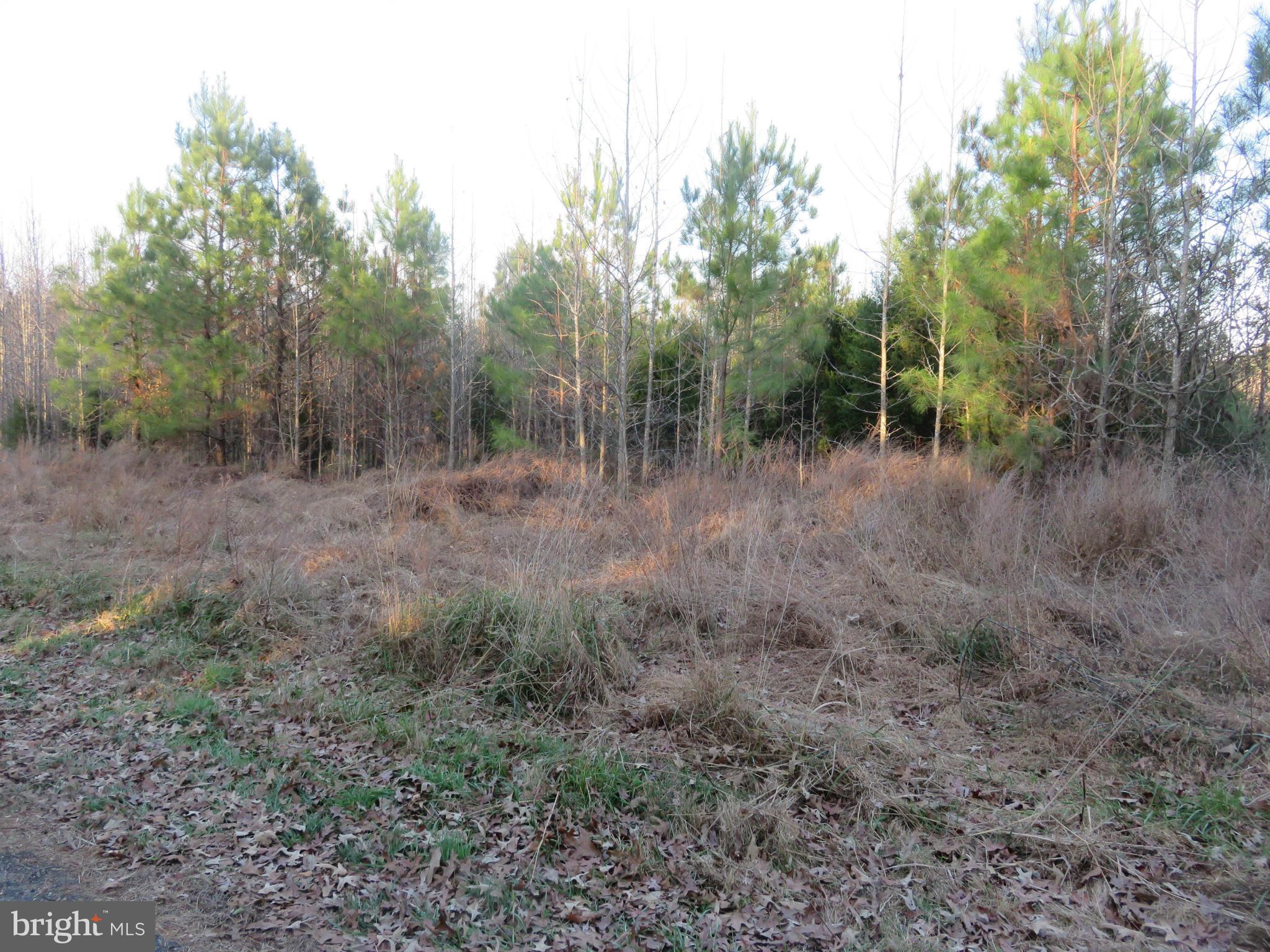 22012 Cartwright Road Leonardtown, MD 20650 - Photo 1 of 1 Exterior (General)