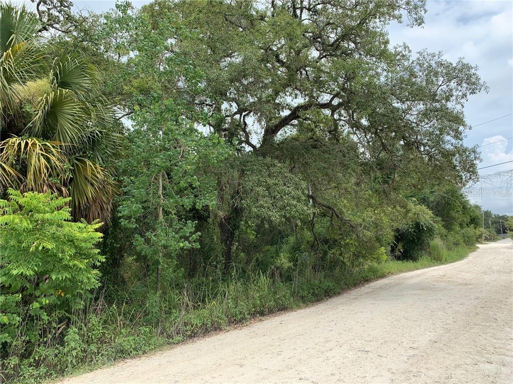 Jetson Drive Spring Hill, FL 34610 - Photo 1 of 1 Gallery Image 1