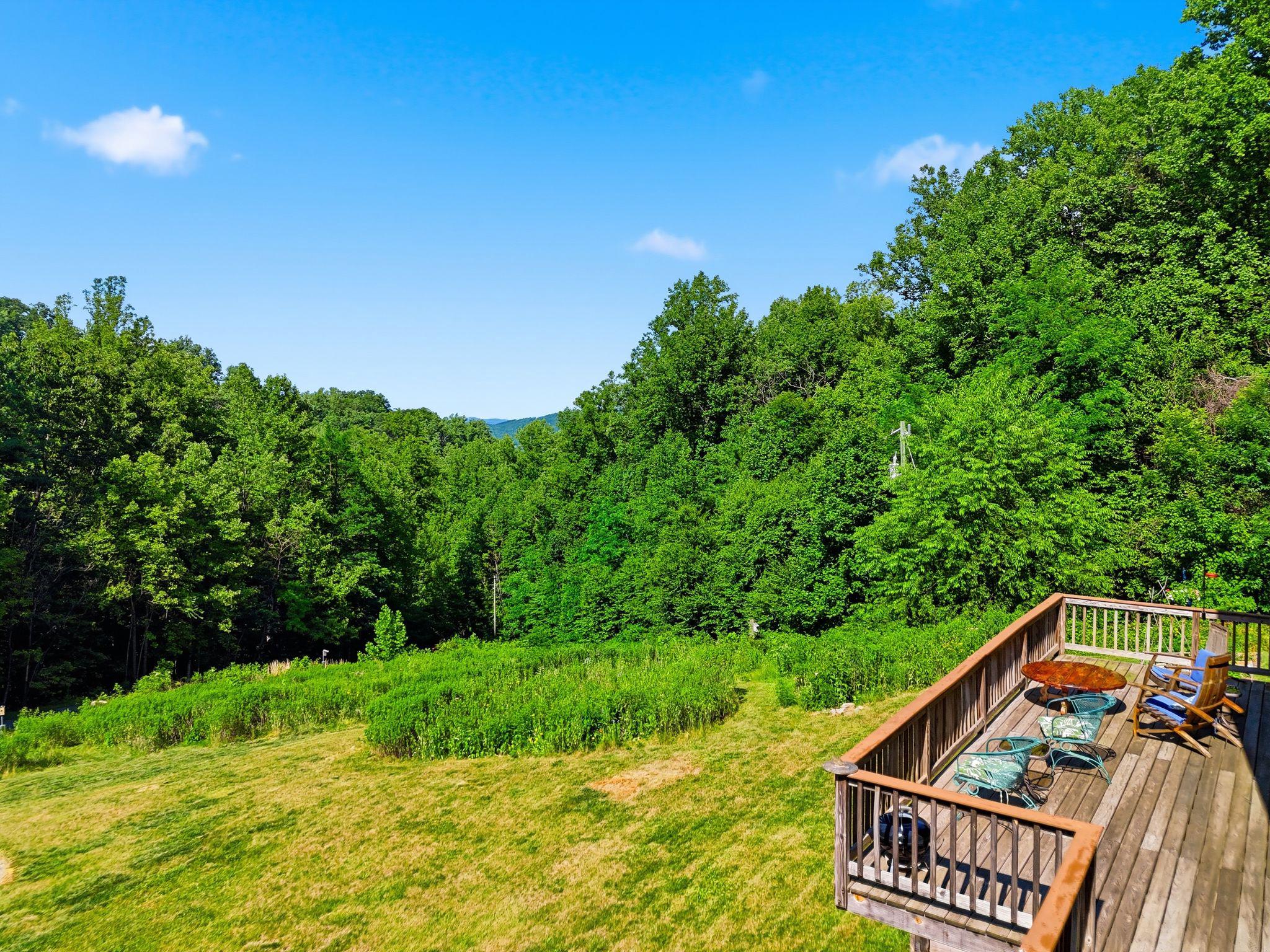 2411 Quaker Run Road Syria, VA 22743 - Photo 36 of 56 Serene retreat amidst lush greenery.