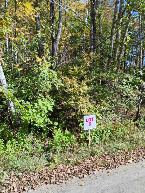 1 Bicknell Road Belmont, ME 04952 - Photo 2 of 5 01