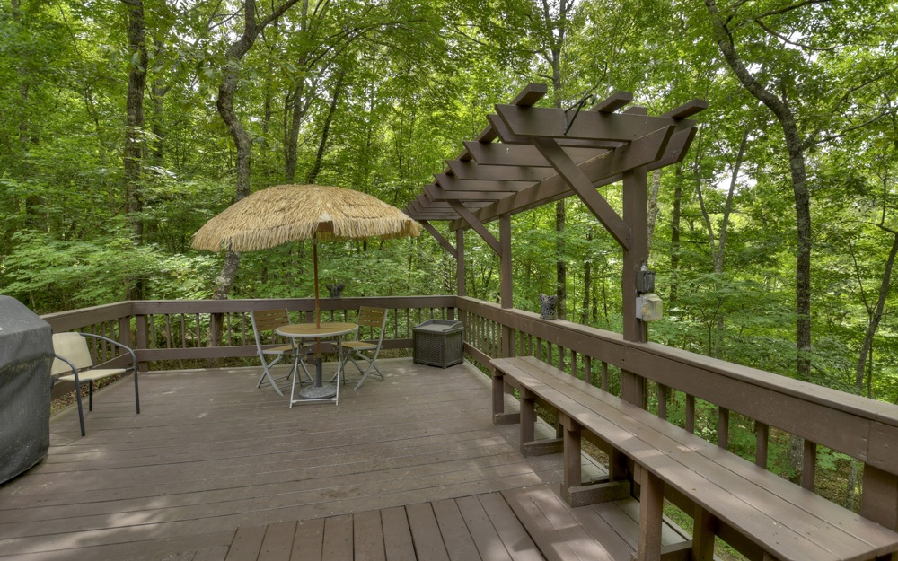 1260 Chase Mountain Road Blue Ridge, GA 30513 - Photo 45 of 60 Additional View