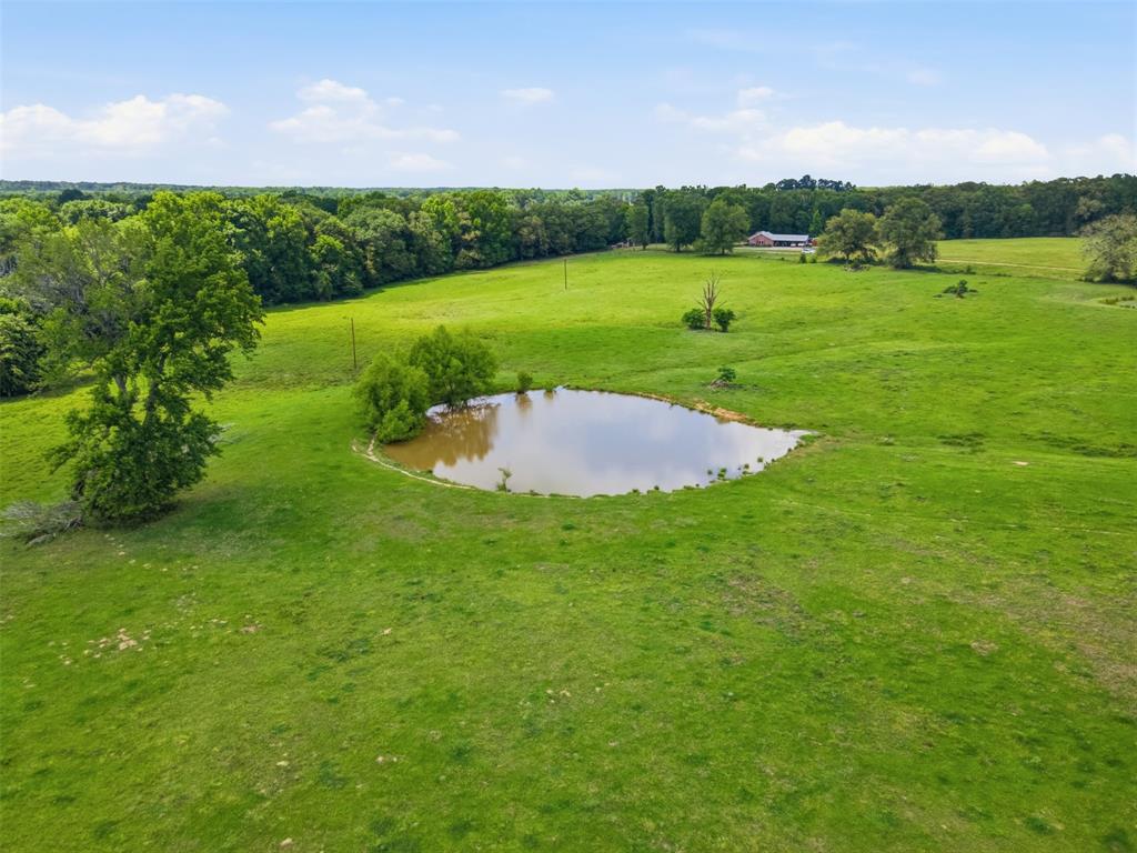 1663 County Road 1405 Bogata, TX 75417 - Photo 34 of 36