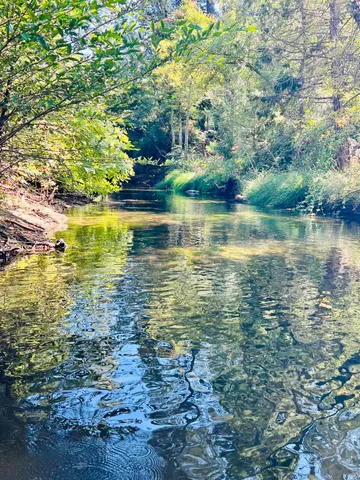 $725,000 | 57665 Road 225, North Fork, CA 93643