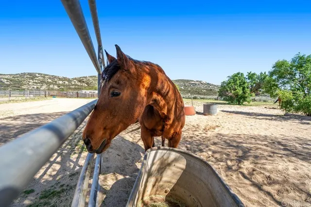 $1,195,000 | 2815 Miller Valley Road, Pine Valley, CA 91962