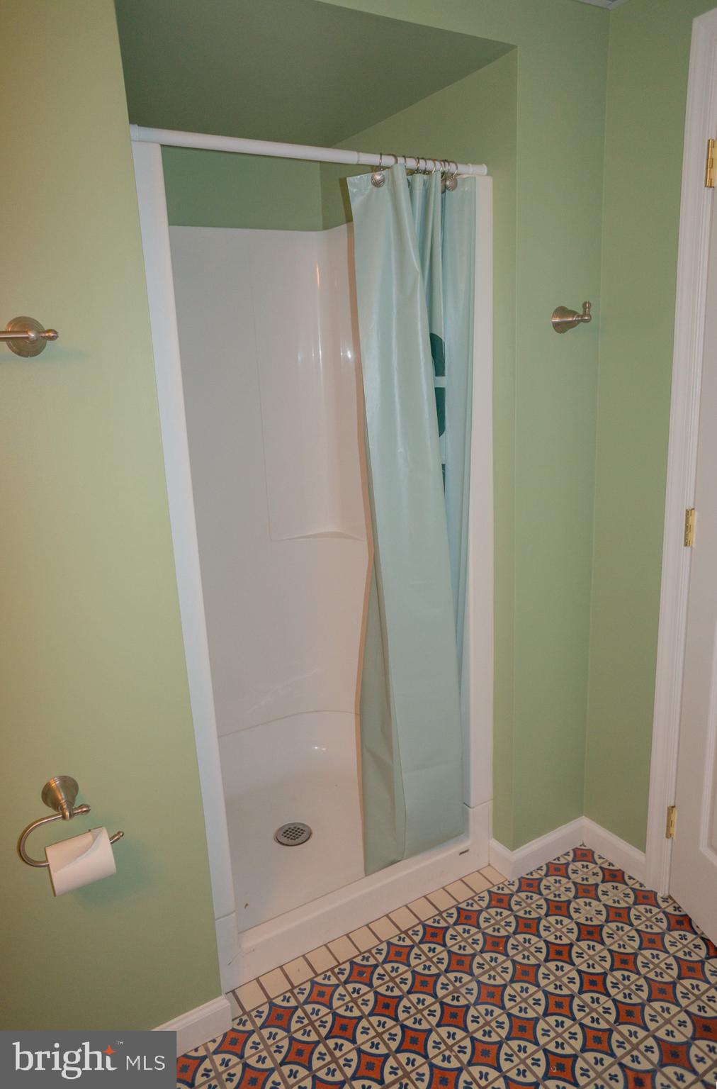 1221 Brighton Avenue Lititz, PA 17543 - Photo 42 of 57 a bathroom with a shower