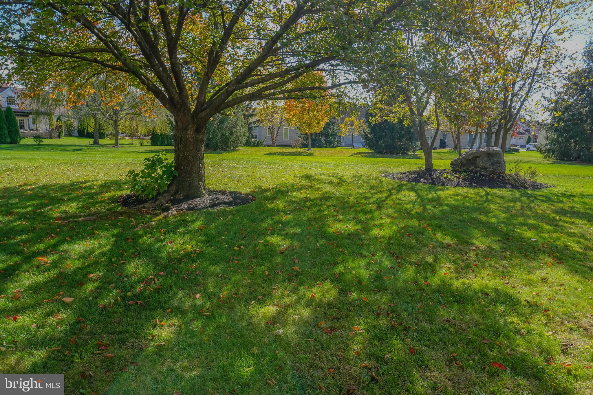 1221 Brighton Avenue Lititz, PA 17543 - Photo 57 of 57 a view of a yard with a tree