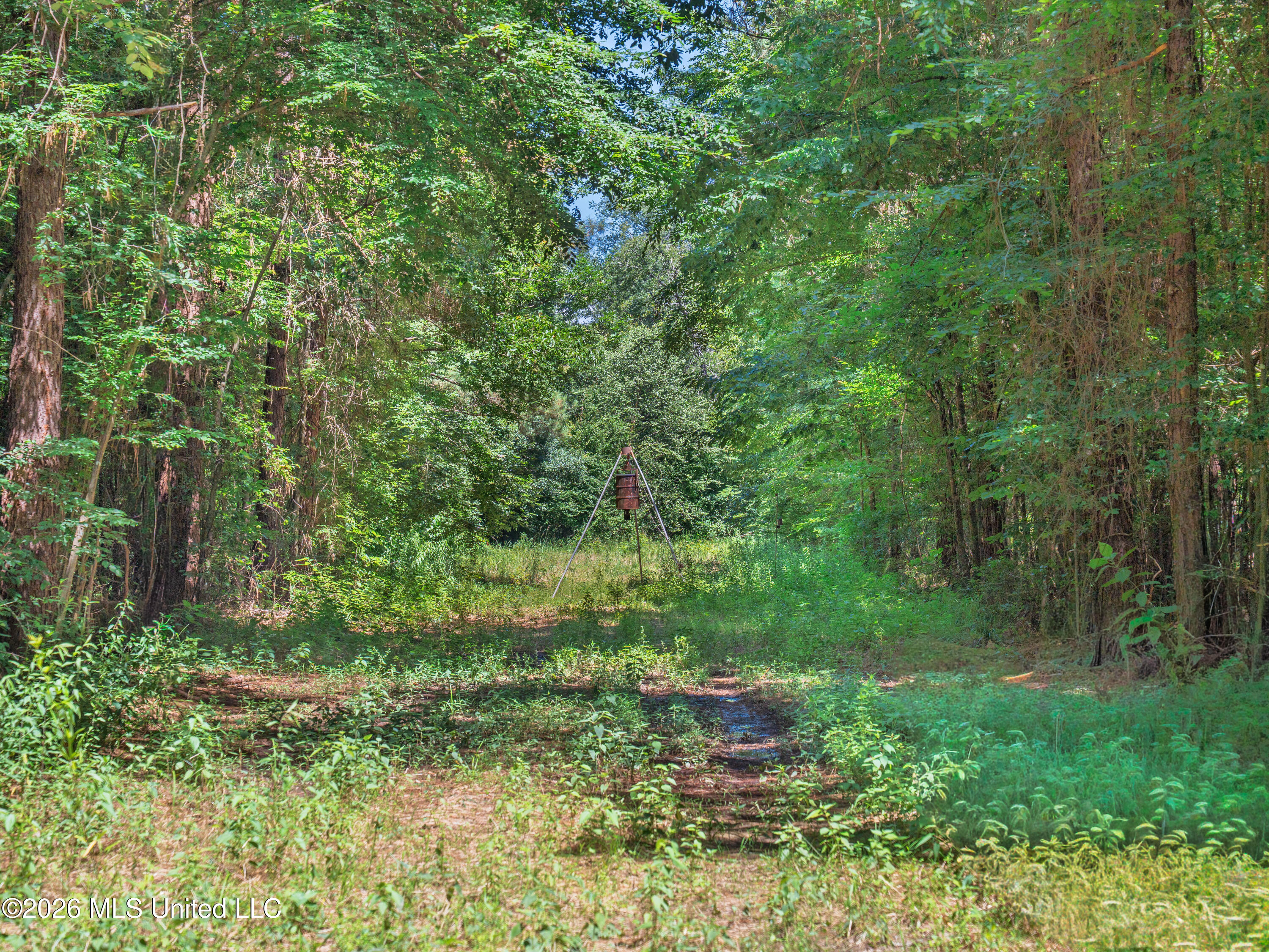23 Co Road Bay Springs, MS 39422 - Photo 34 of 64 A7403799