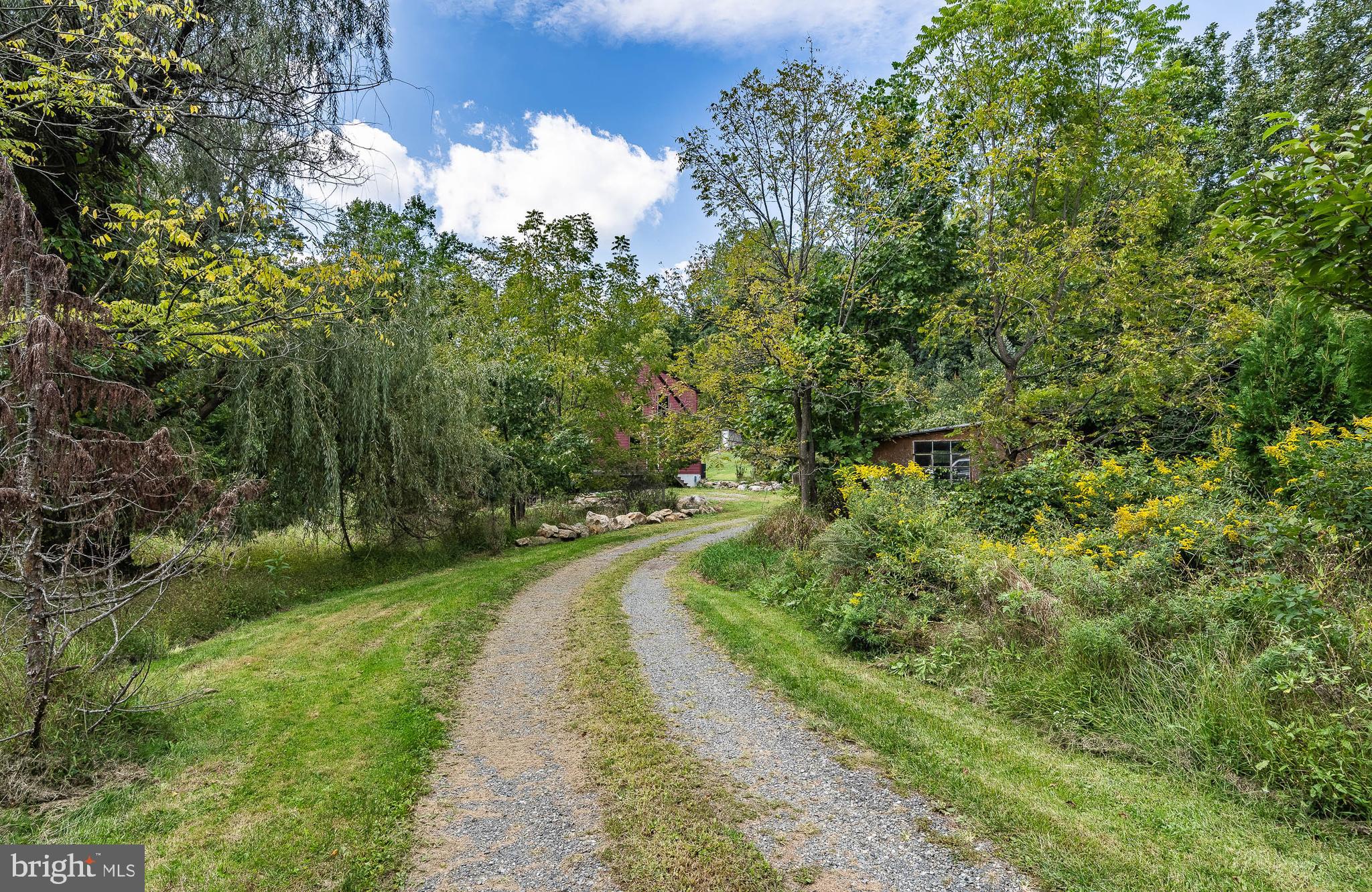 126 Crow Hill Road Barto, PA 19504 - Photo 27 of 43 Driveway