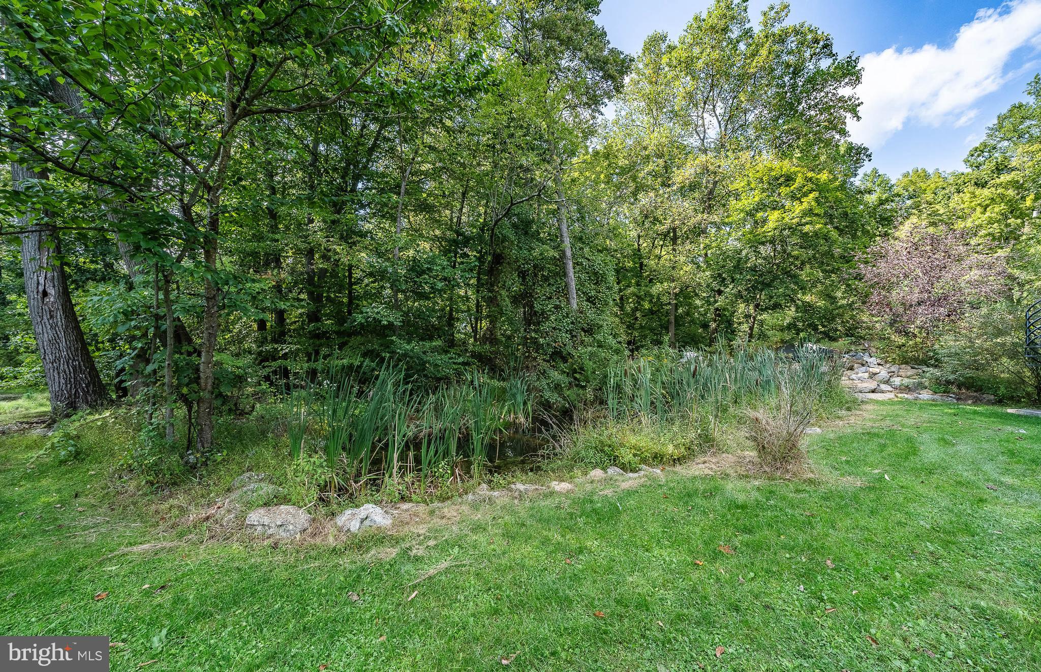 126 Crow Hill Road Barto, PA 19504 - Photo 29 of 43 Pond