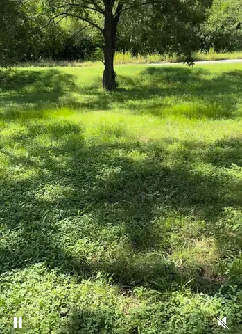 a view of yard with large trees