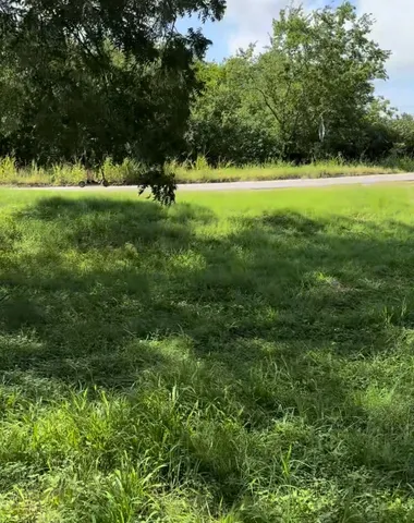 a view of outdoor space and yard