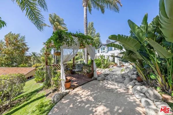 a view of a yard with plants