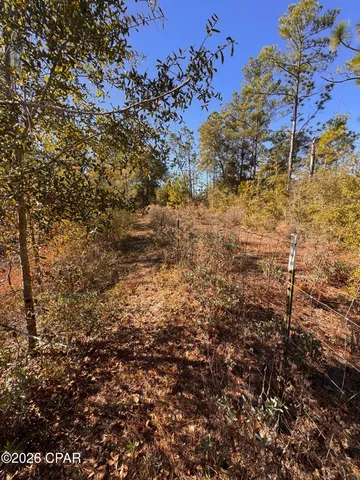 $128,000 | 23588 Lamont Road, Fountain, FL 32438