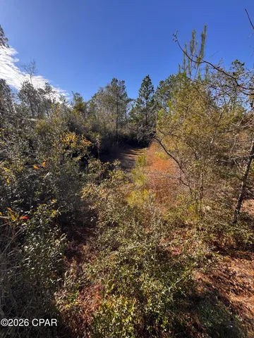 $128,000 | 23588 Lamont Road, Fountain, FL 32438