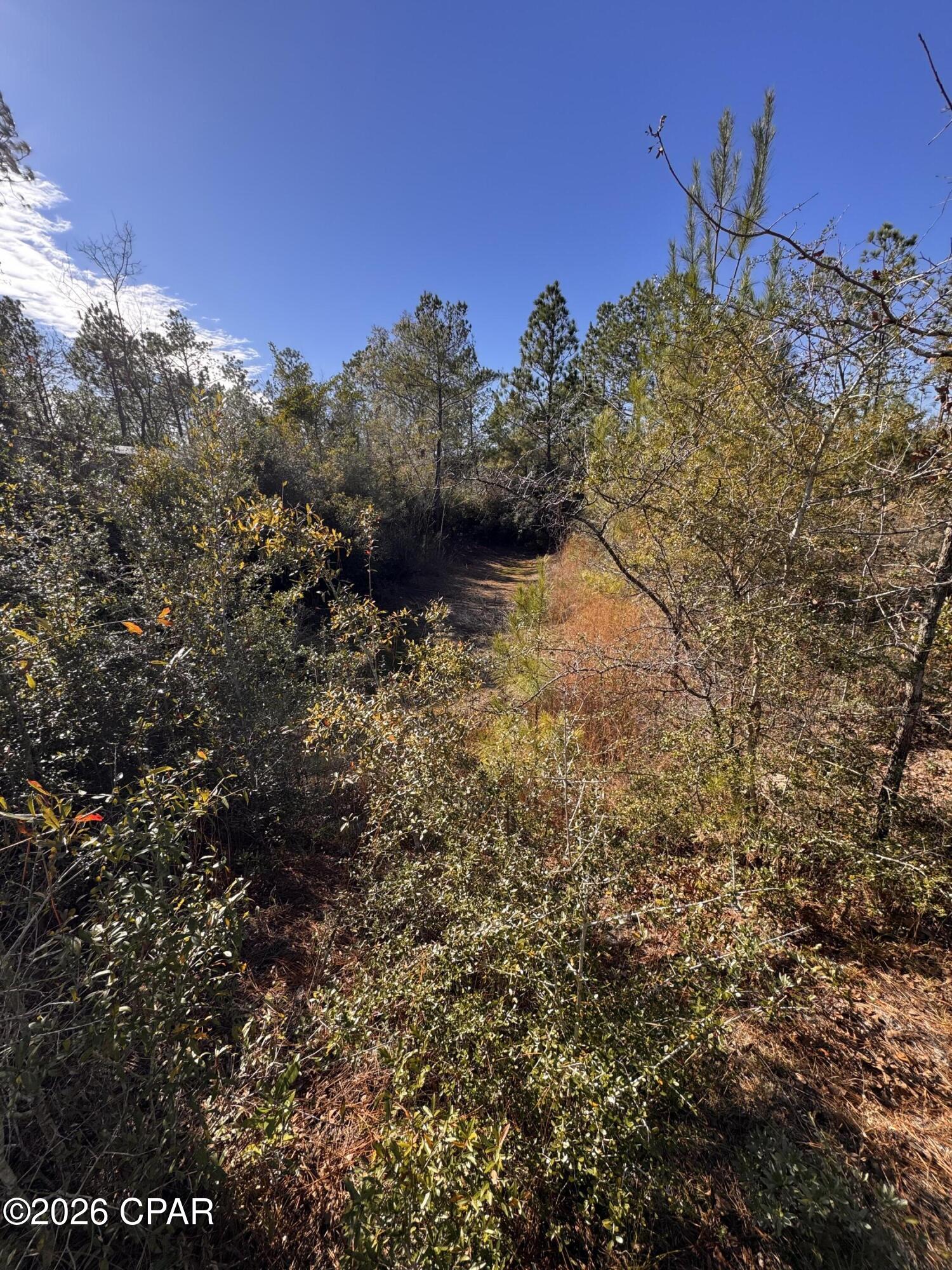 23588 Lamont Road Fountain, FL 32438 - Photo 14 of 28